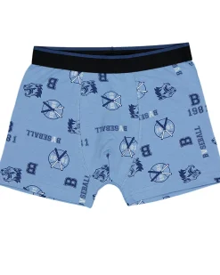 Best Zeeman Boxer - Bleu
