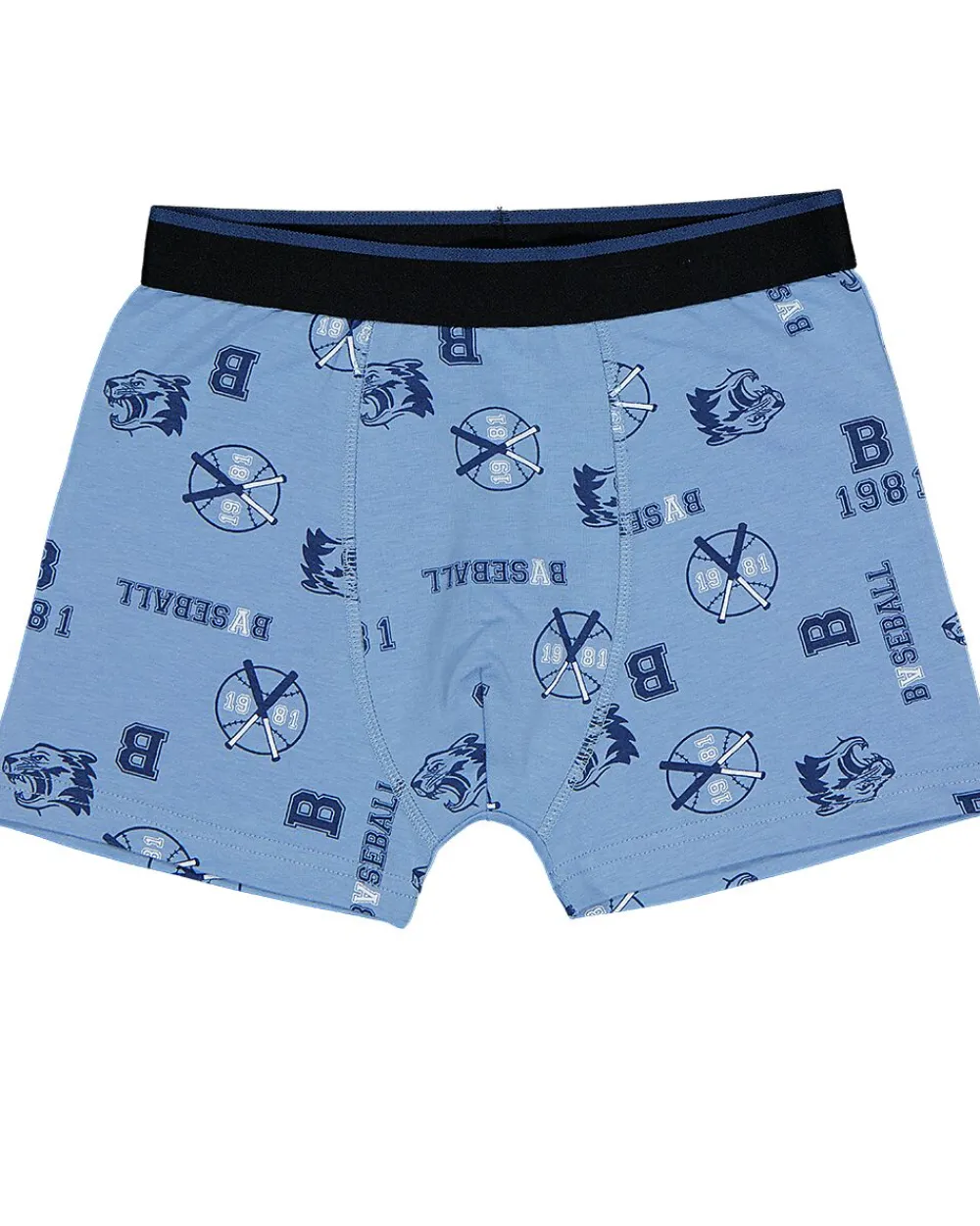 Best Zeeman Boxer - Bleu