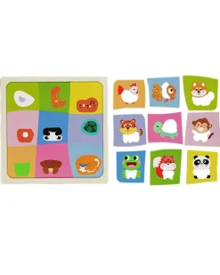 Zeeman Puzzle - Multicolore
