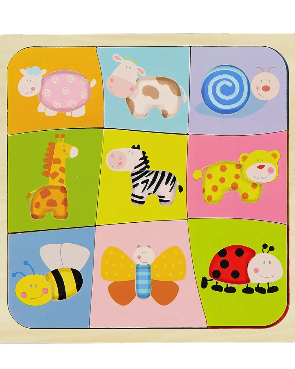 New Zeeman Puzzle - Multicolore