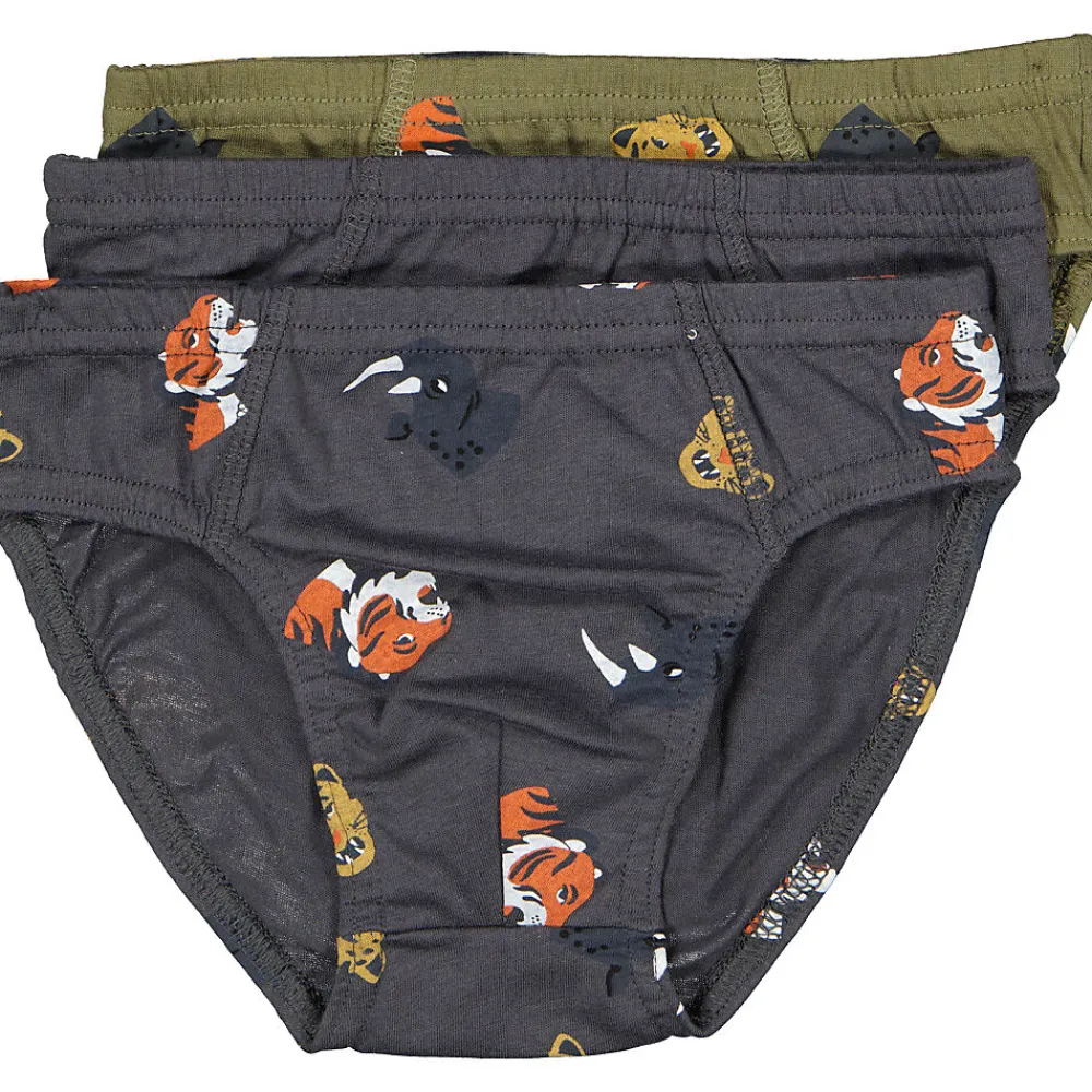 Hot Zeeman Slip - Gris