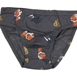 Hot Zeeman Slip - Gris