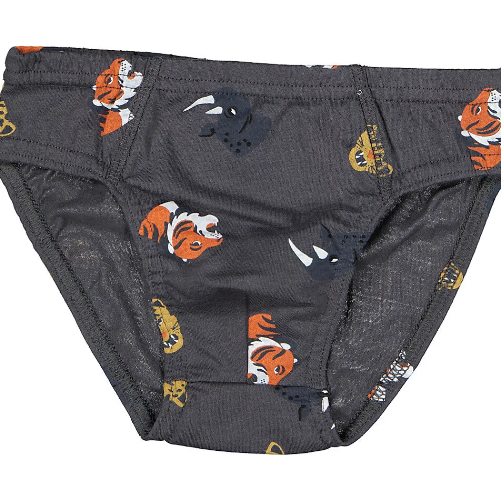 Hot Zeeman Slip - Gris
