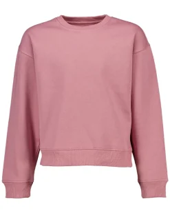 Zeeman Sweat - Violet