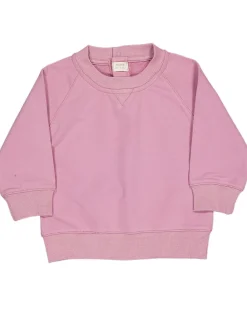 Hot Zeeman Sweat - Violet